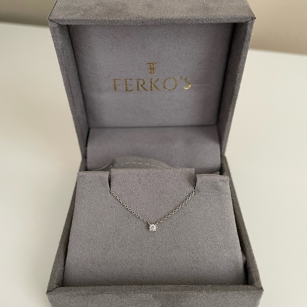 Ferko’s Fine Jewelry Petite White Gold and Diamond Necklace